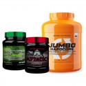 Gainer Stack - Advanced